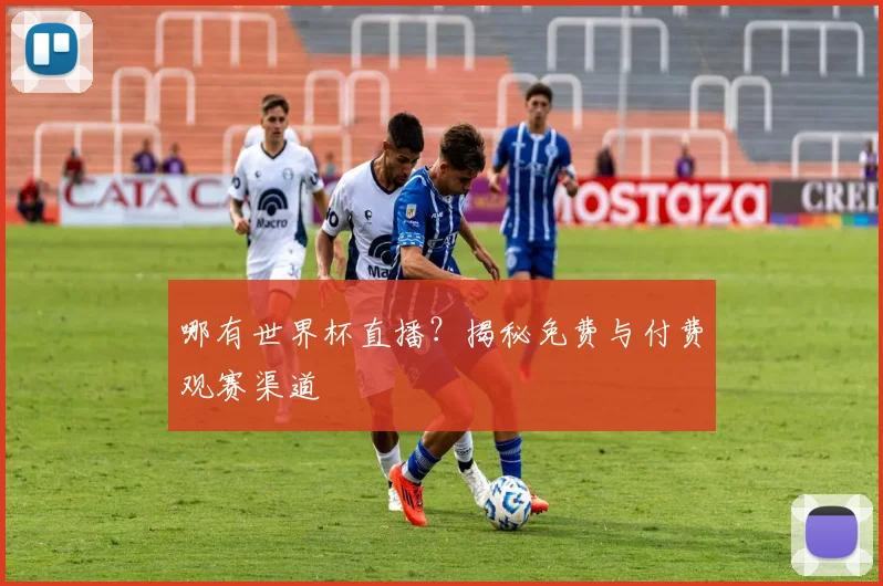 哪有世界杯直播？揭秘免费与付费观赛渠道