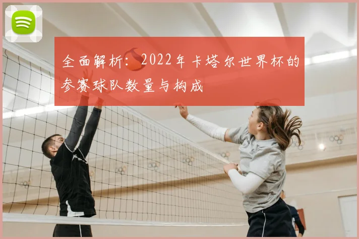 全面解析：2022年卡塔尔世界杯的参赛球队数量与构成