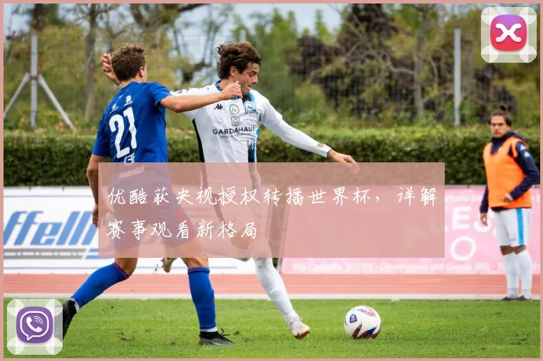 优酷获央视授权转播世界杯,详解赛事观看新格局