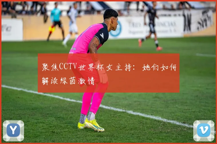 聚焦CCTV世界杯女主持：她们如何解读绿茵激情